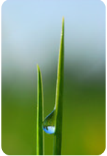 Hypnotherapist-London