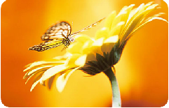 Training and Workshops in London Workplace-training-conflict-resolution